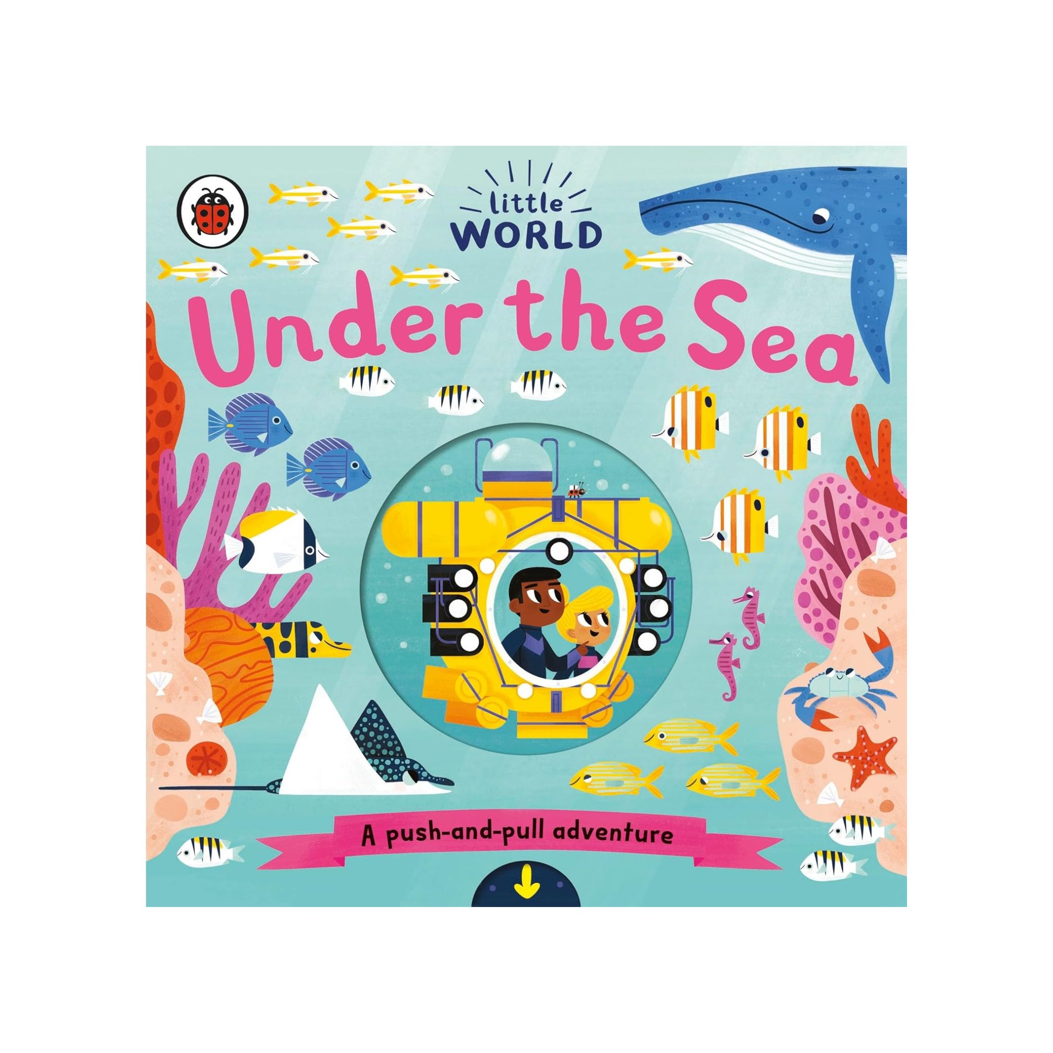Little World: Under The Sea Board Book
