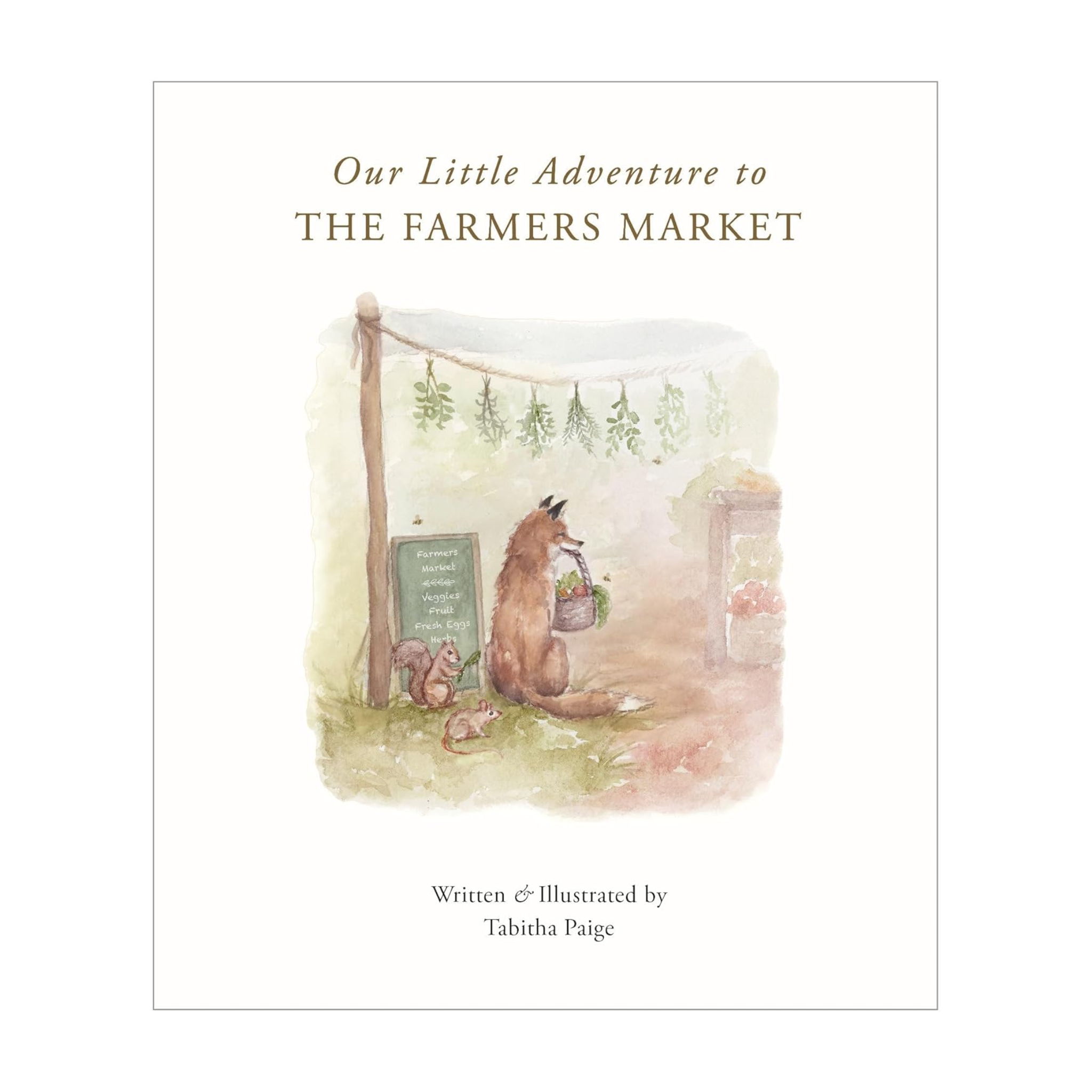 Our Little Adventure To The Farmers Market Board Book