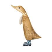 Bug On Boots Duckling Dragonfly