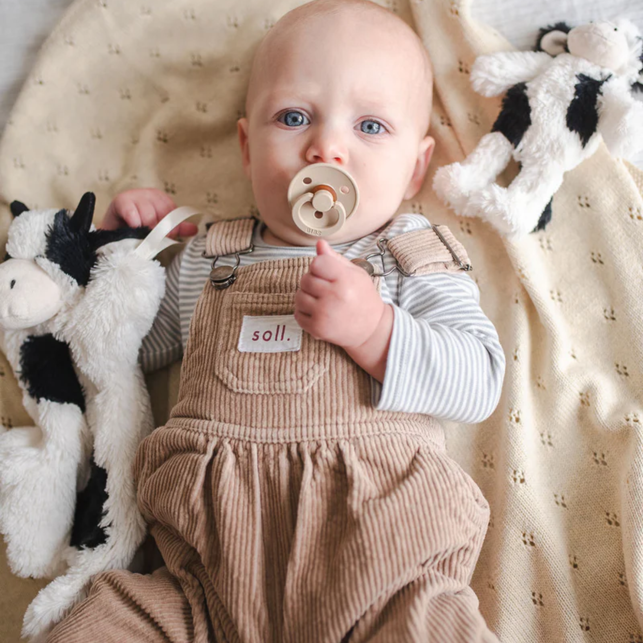 Mini Clover The Cow Rattle Black