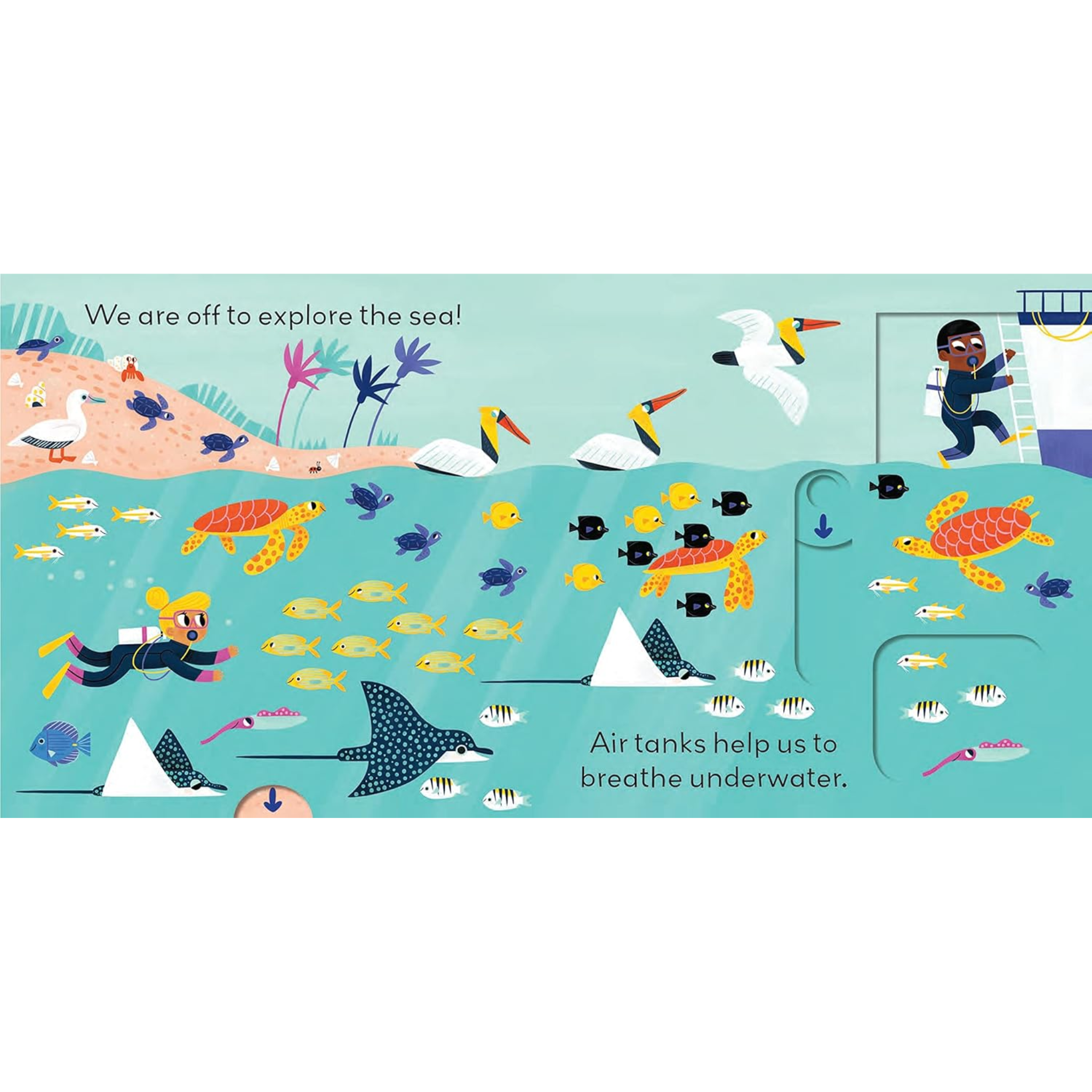 Little World: Under The Sea Board Book