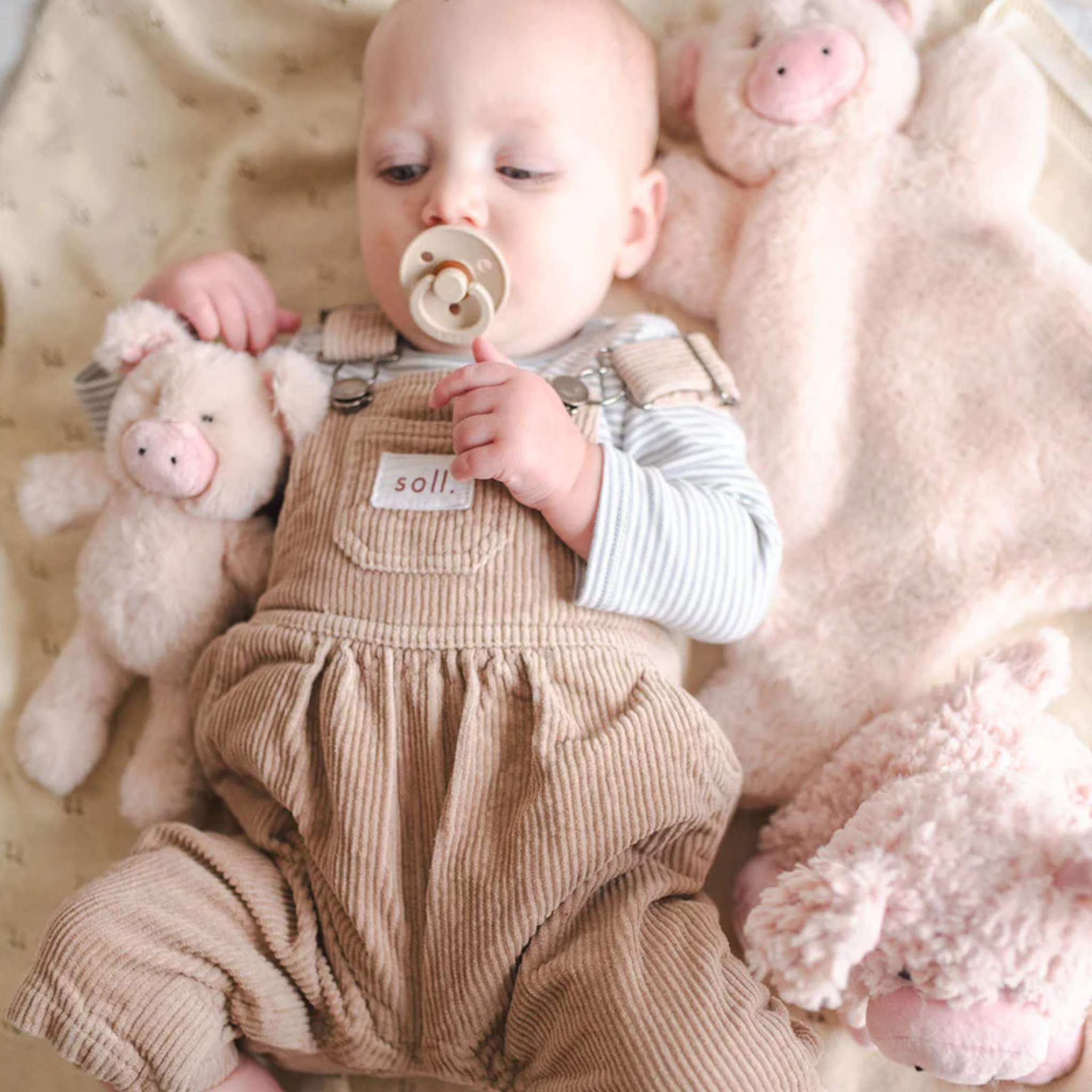 Mini Poppy The Pig Rattle Pink