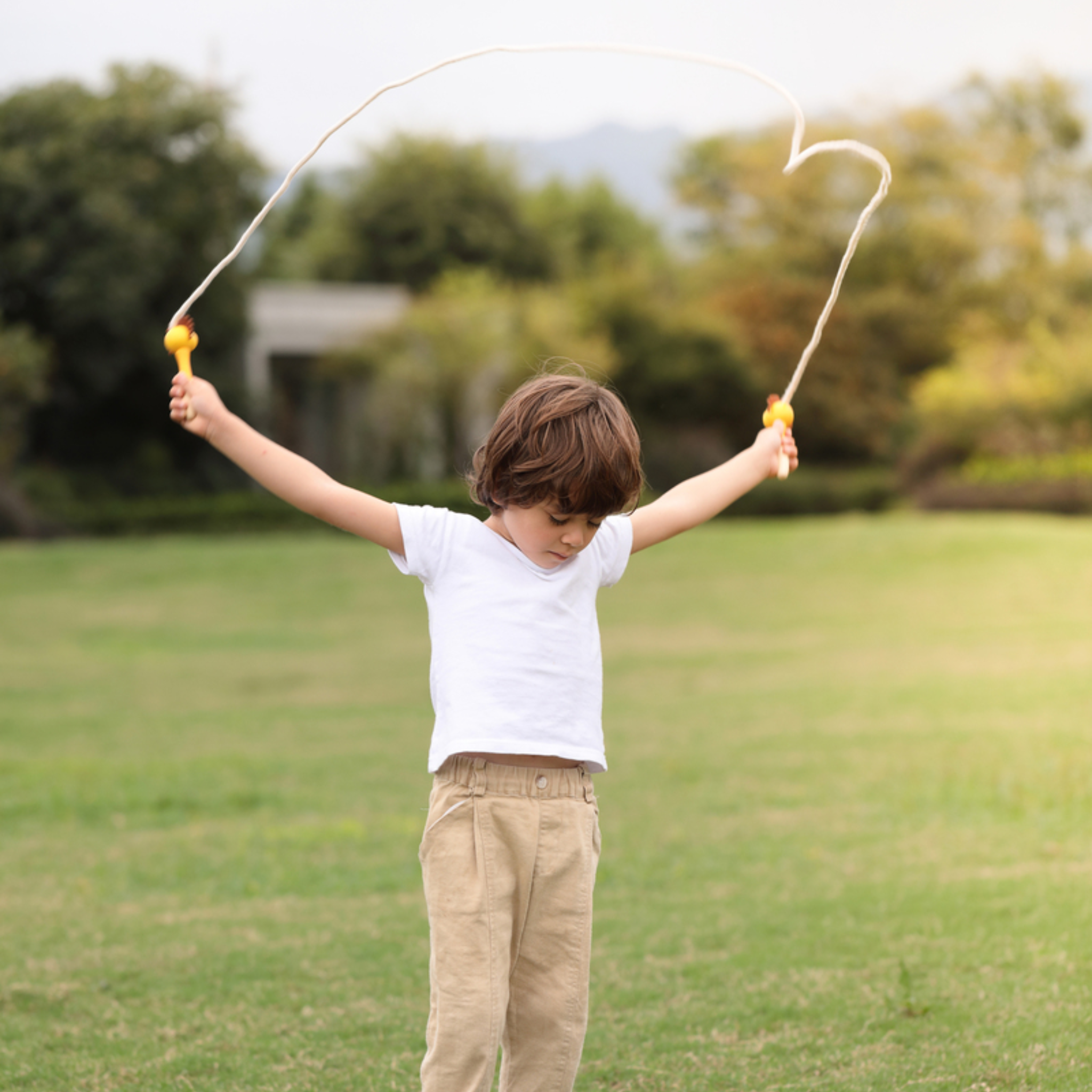 Wooden Skipping Rope Jungle Animal Lion