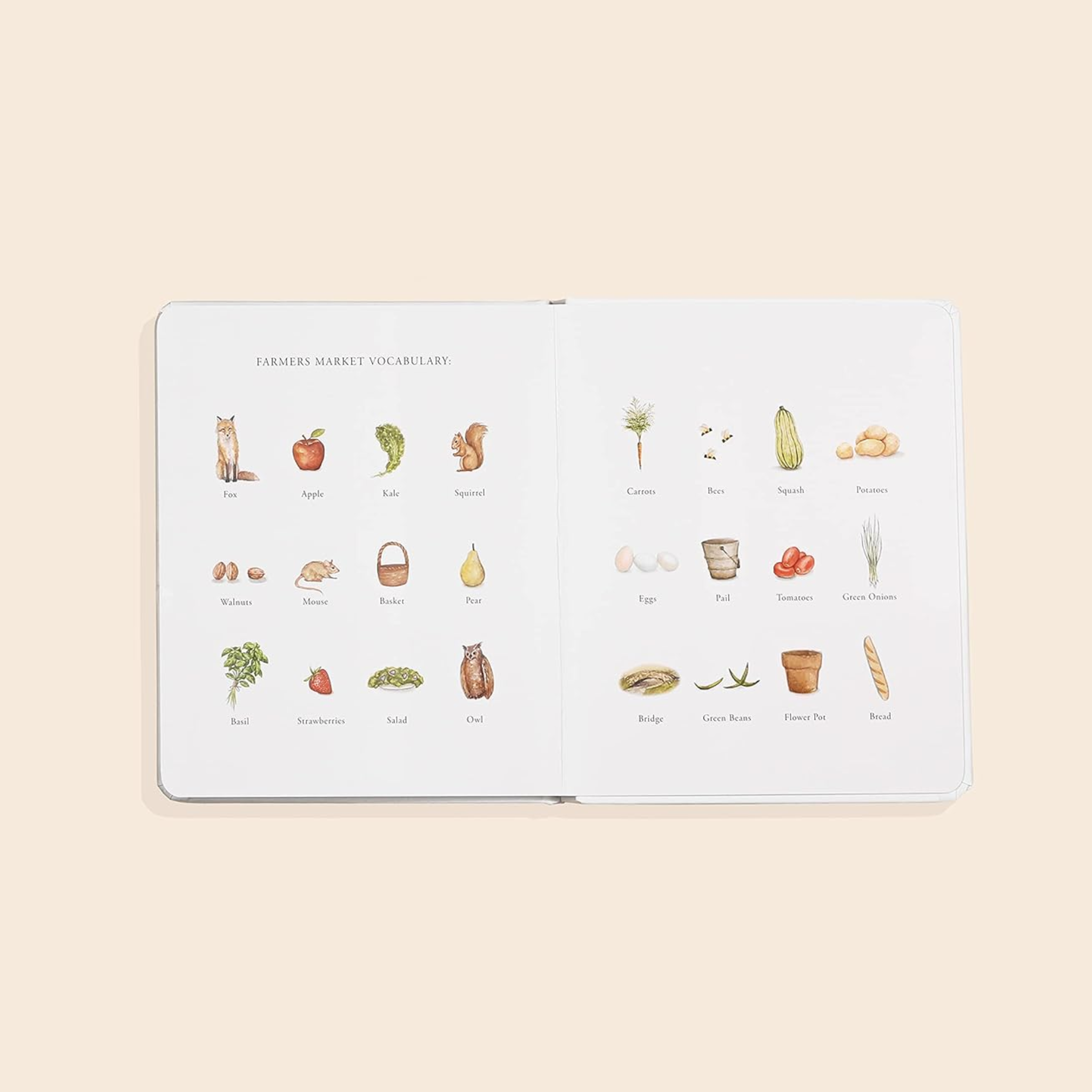 Our Little Adventure To The Farmers Market Board Book