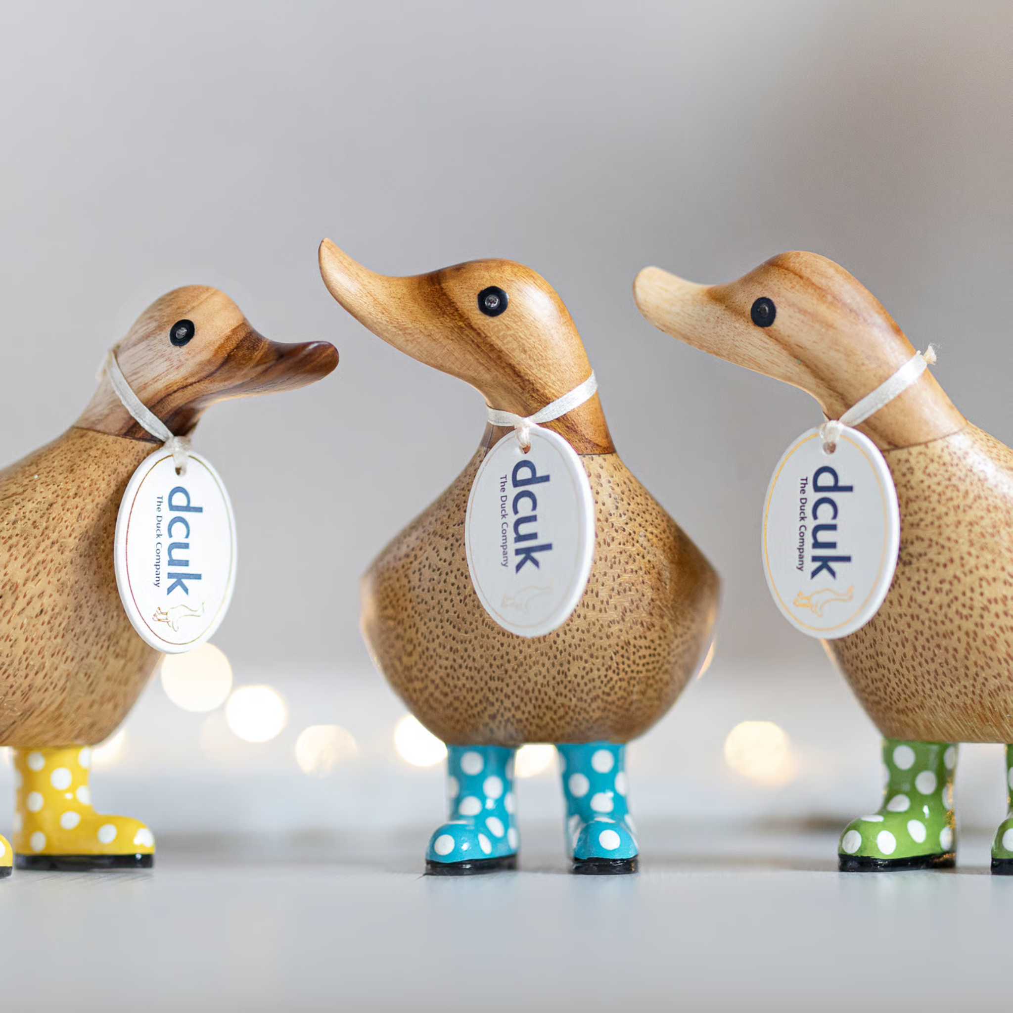 Spotty Boots Ducky Blue