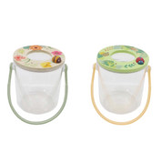 Magnifying Bug Jar Ladybird