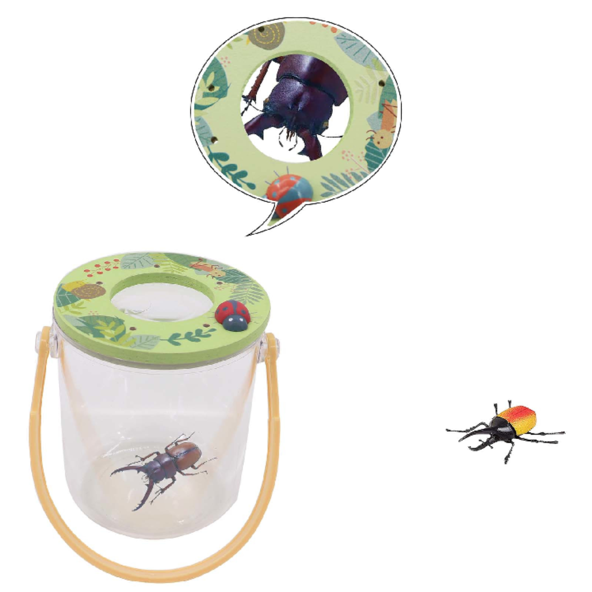Magnifying Bug Jar Bee