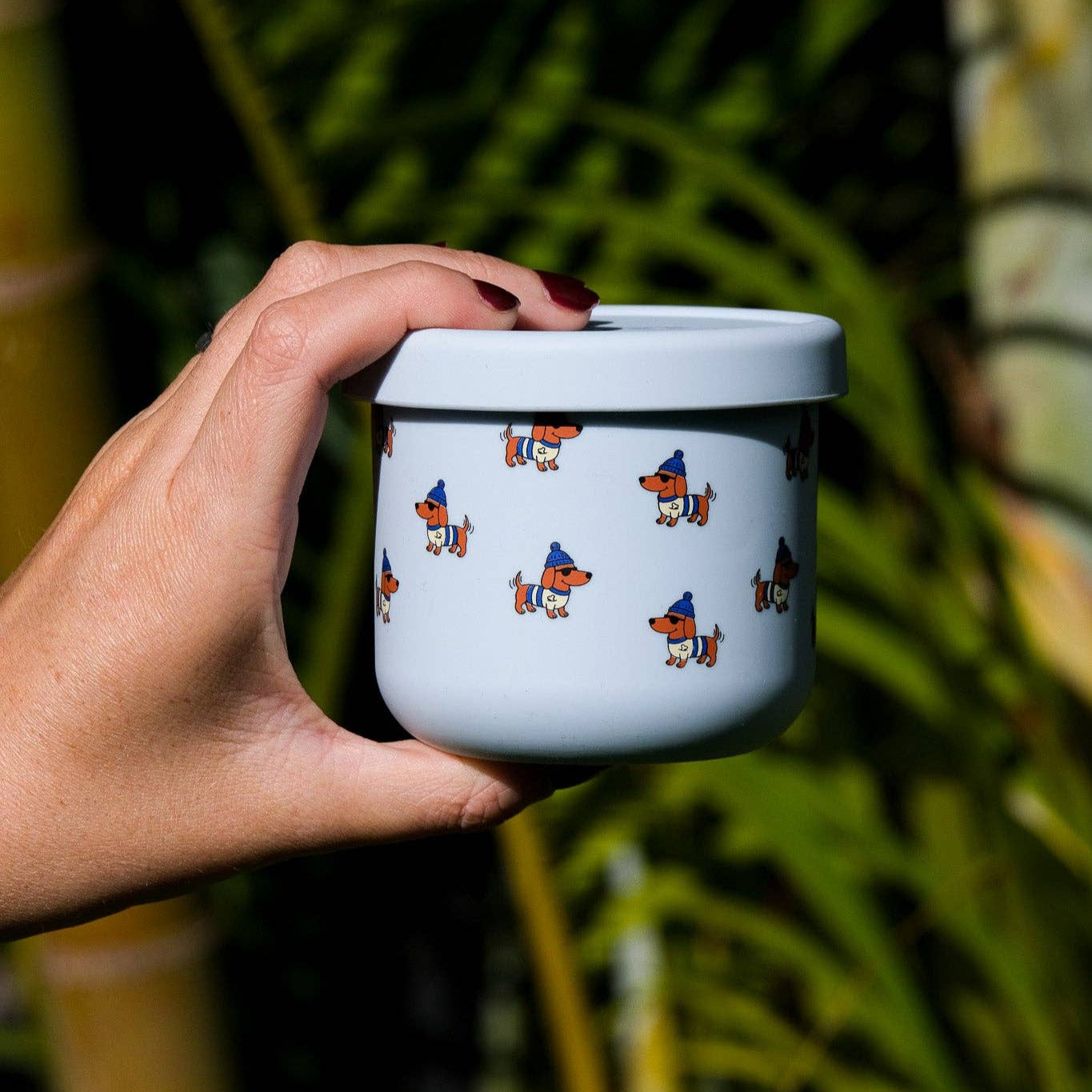 Dagwood Snack Pot (250ml)