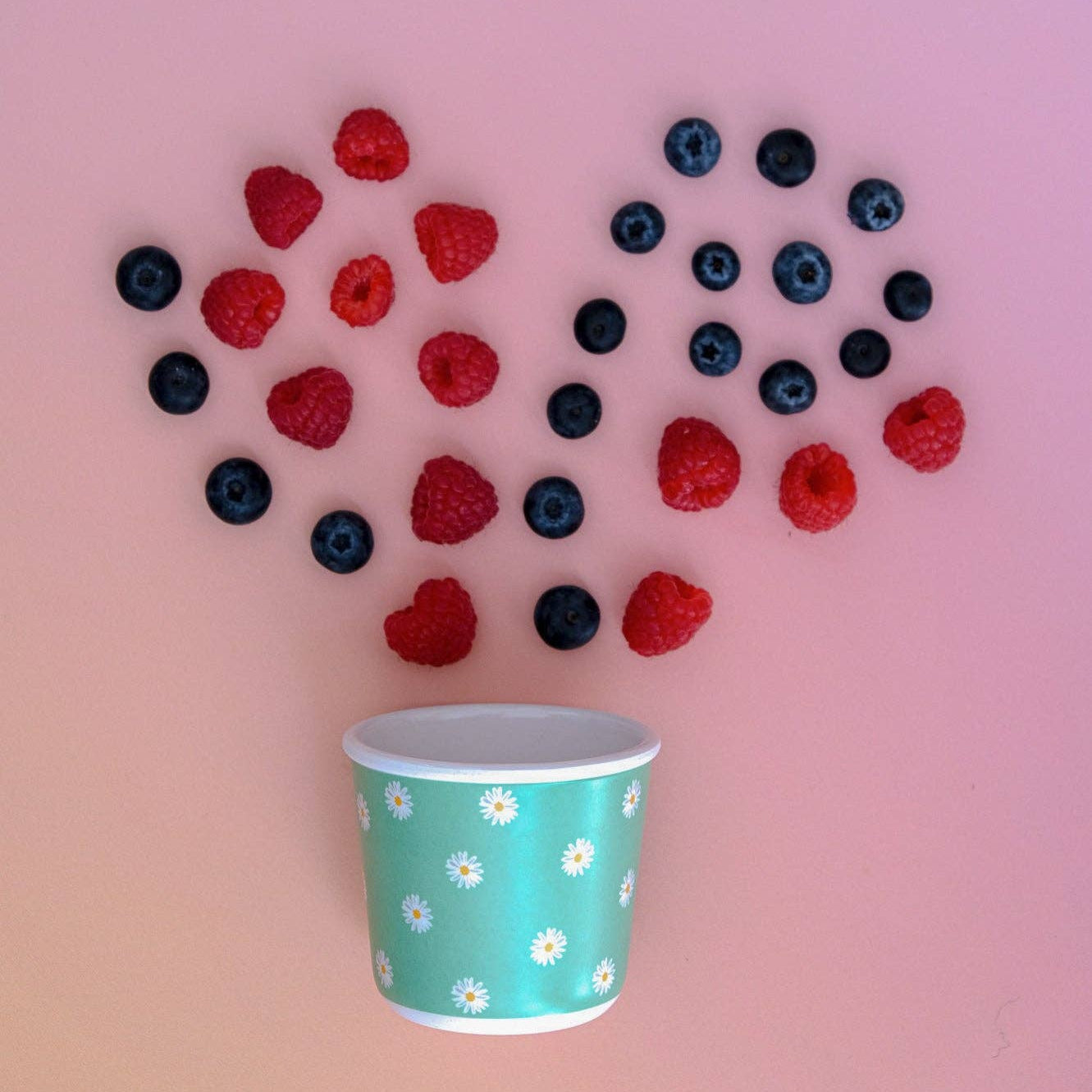 Daisy Baby Snack Pot (220ml)