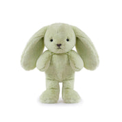 Little Clover Cottontail Bunny Soft Toy