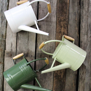 Watering Can Sage