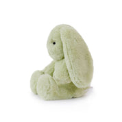 Little Clover Cottontail Bunny Soft Toy