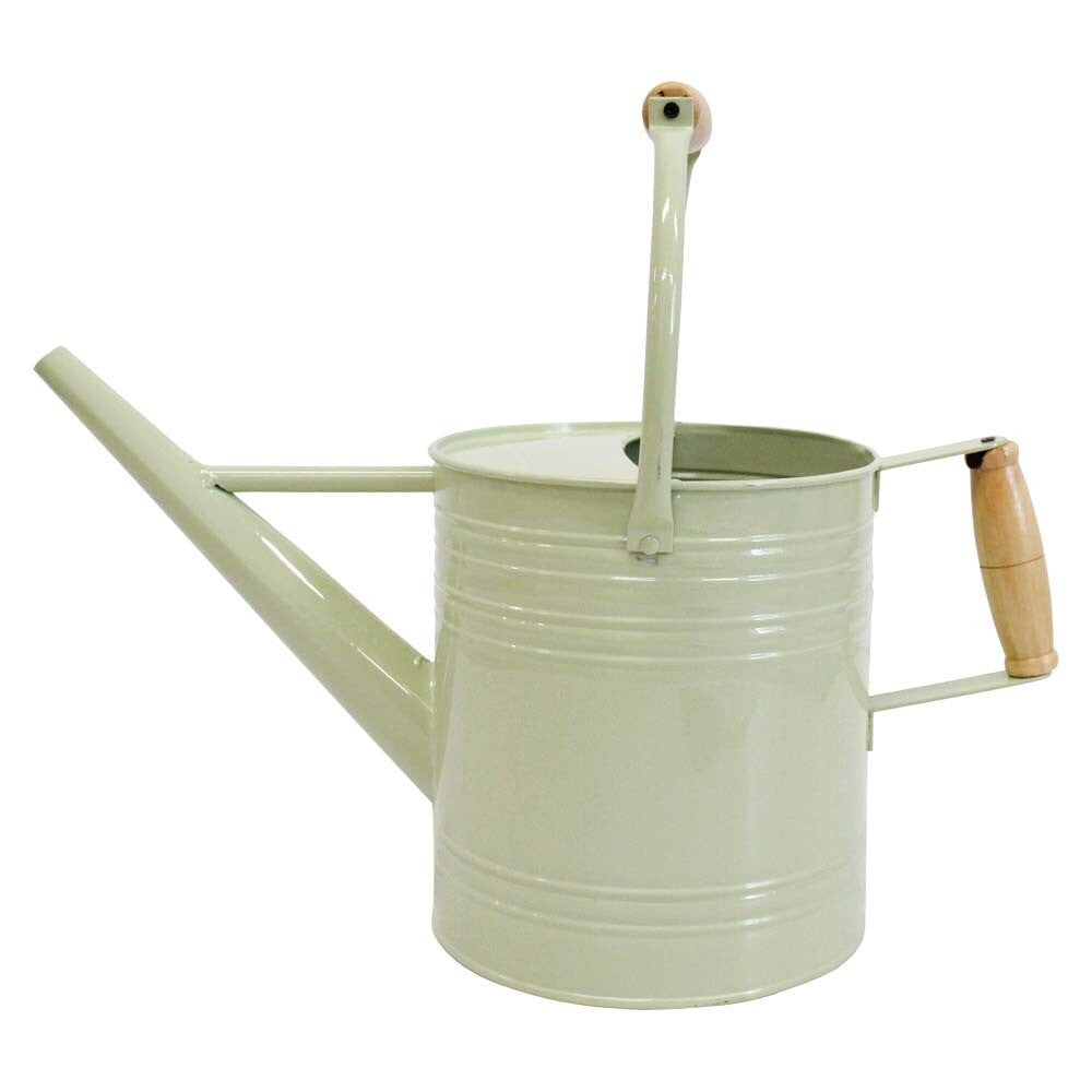 Watering Can Sage