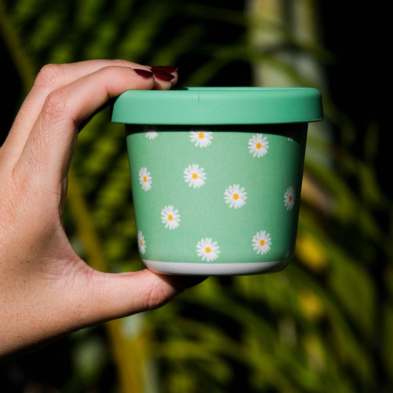 Daisy Baby Snack Pot (220ml)