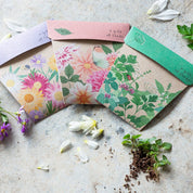 Dahlia Gift of Seeds
