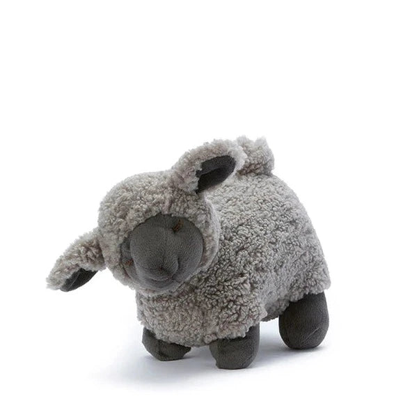 Lucy The Lamb Black