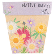 Native Daisies Gift of Seeds