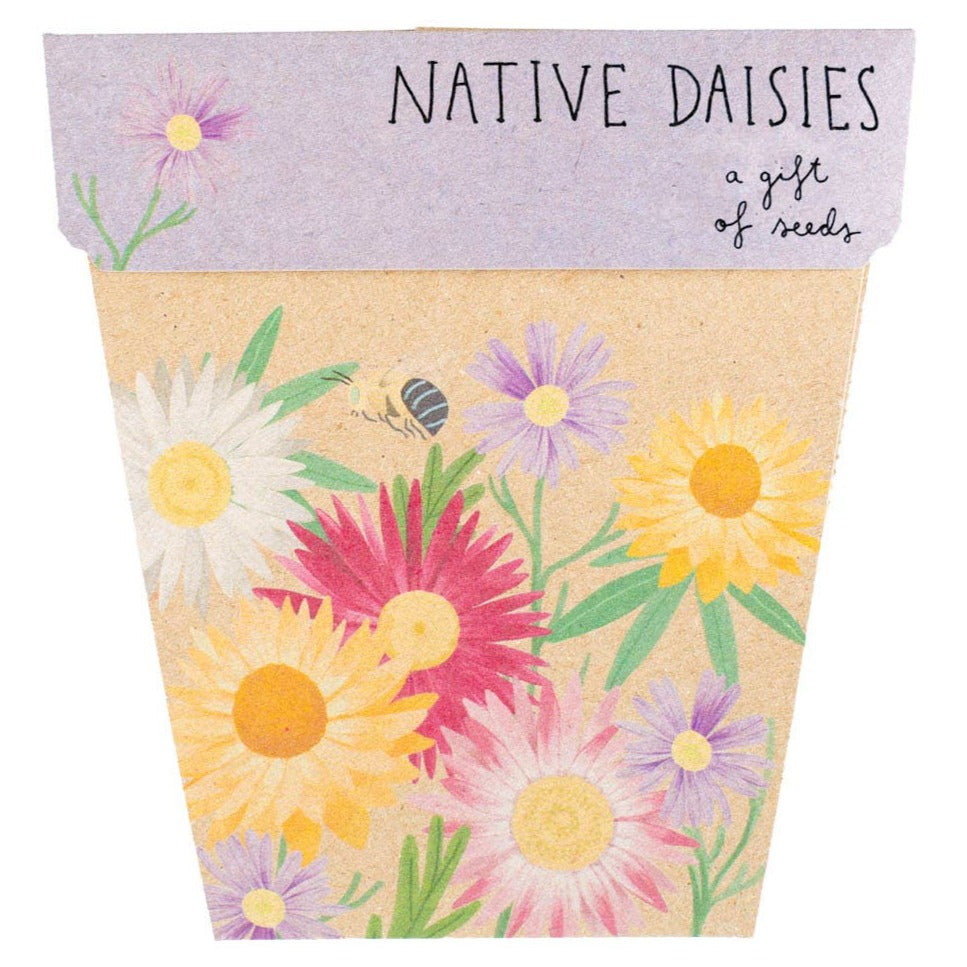 Native Daisies Gift of Seeds