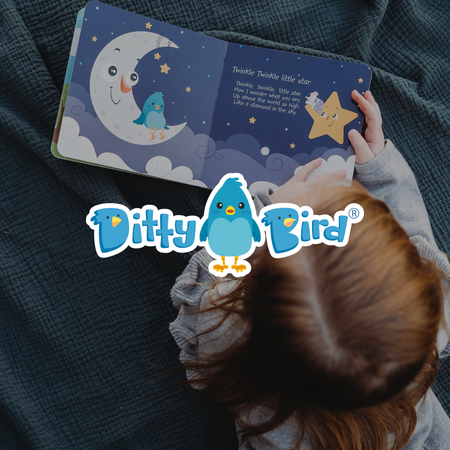 Ditty Bird