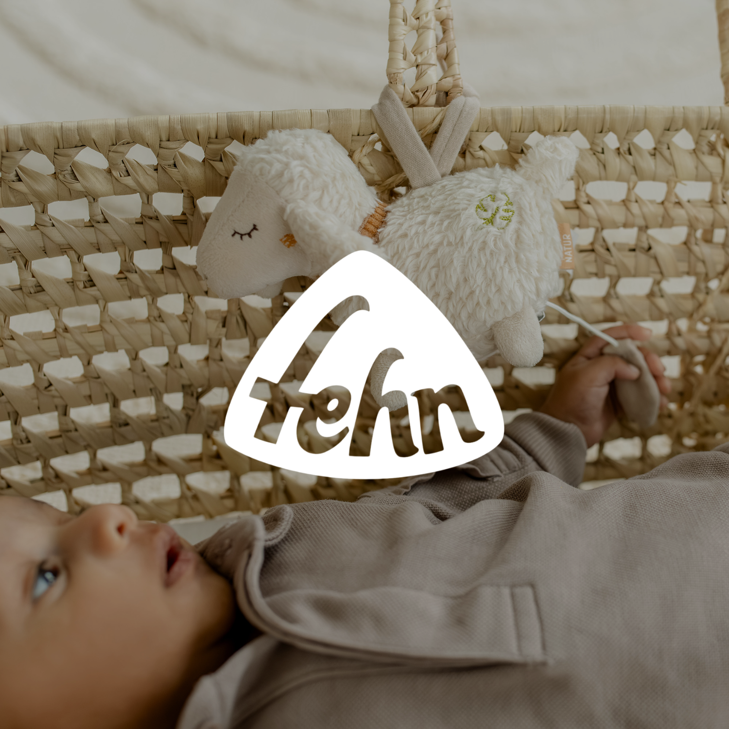 Fehn