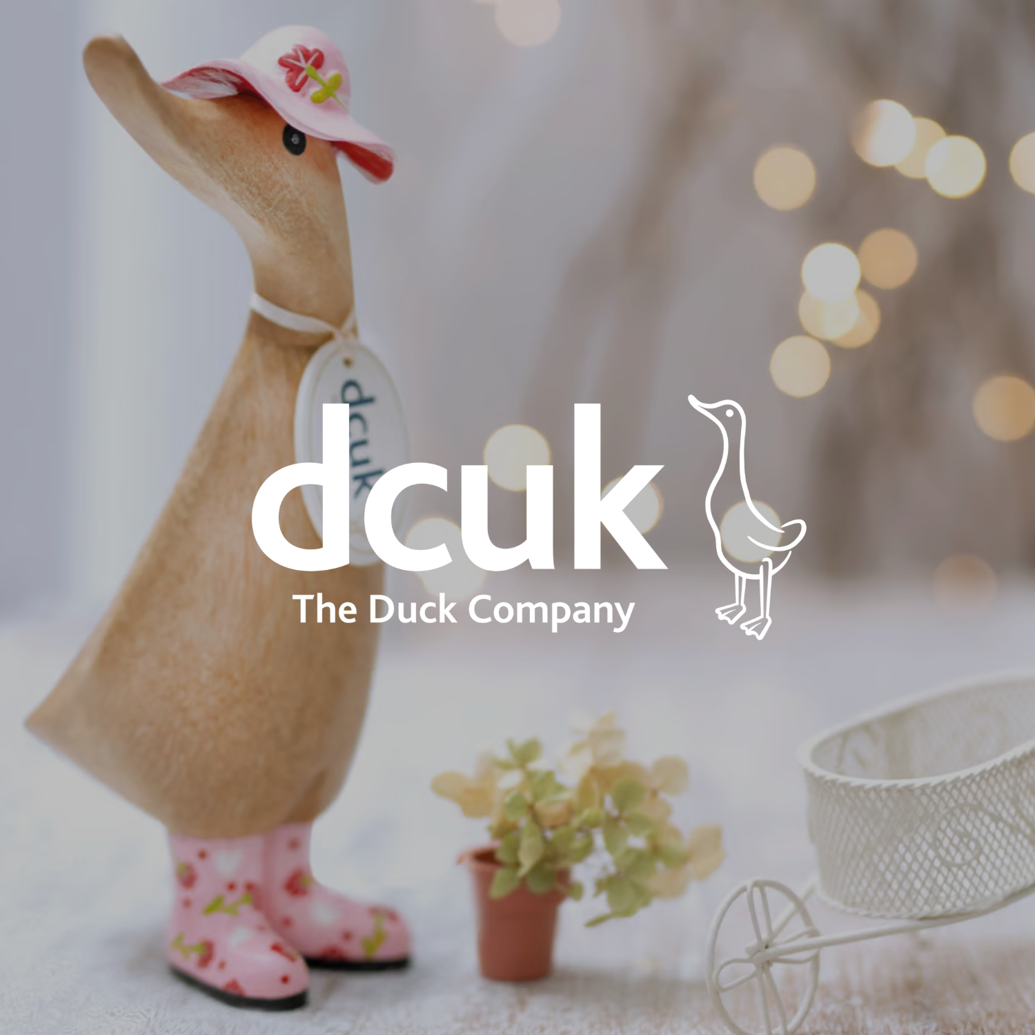 DCUK The Duck Company