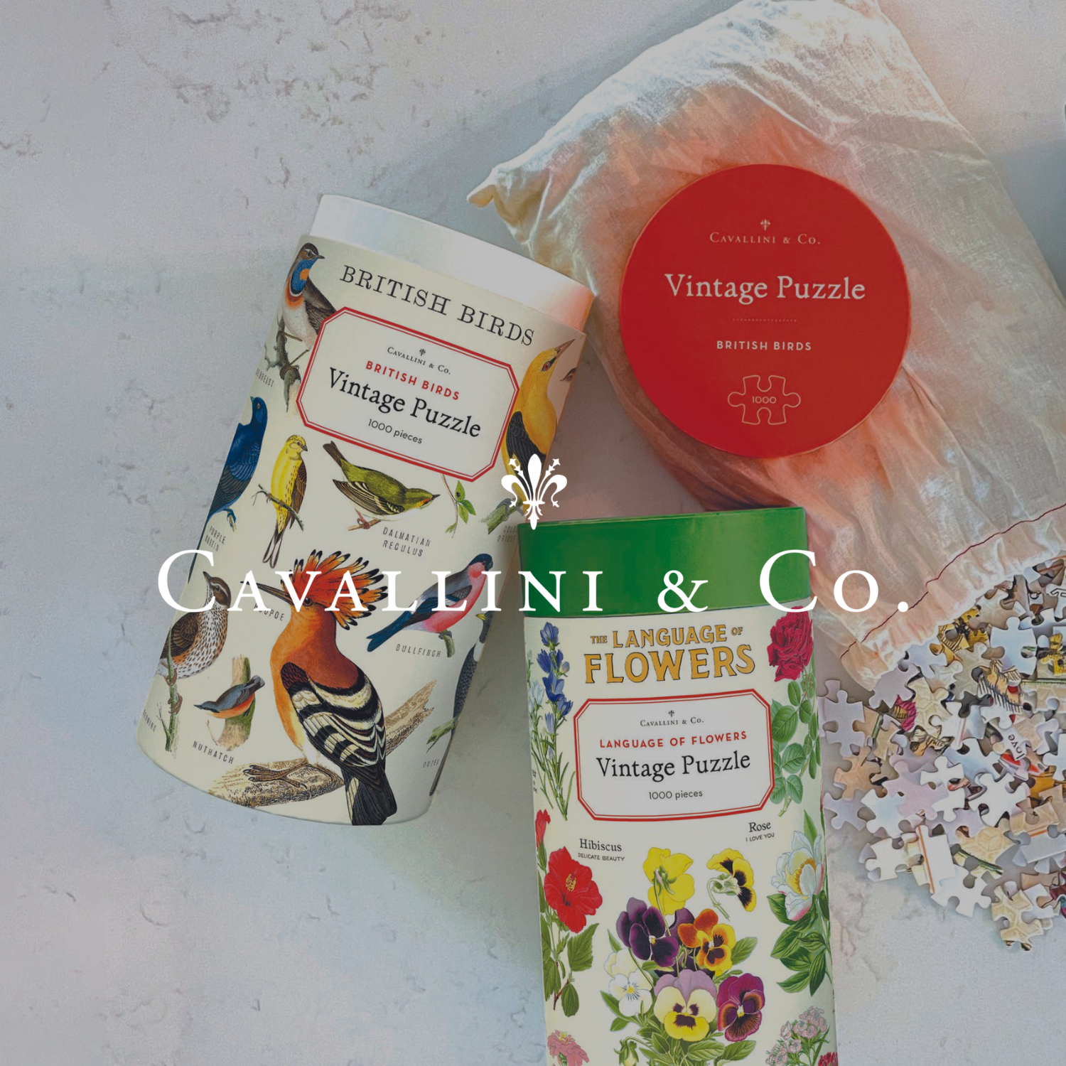 Cavallini & Co