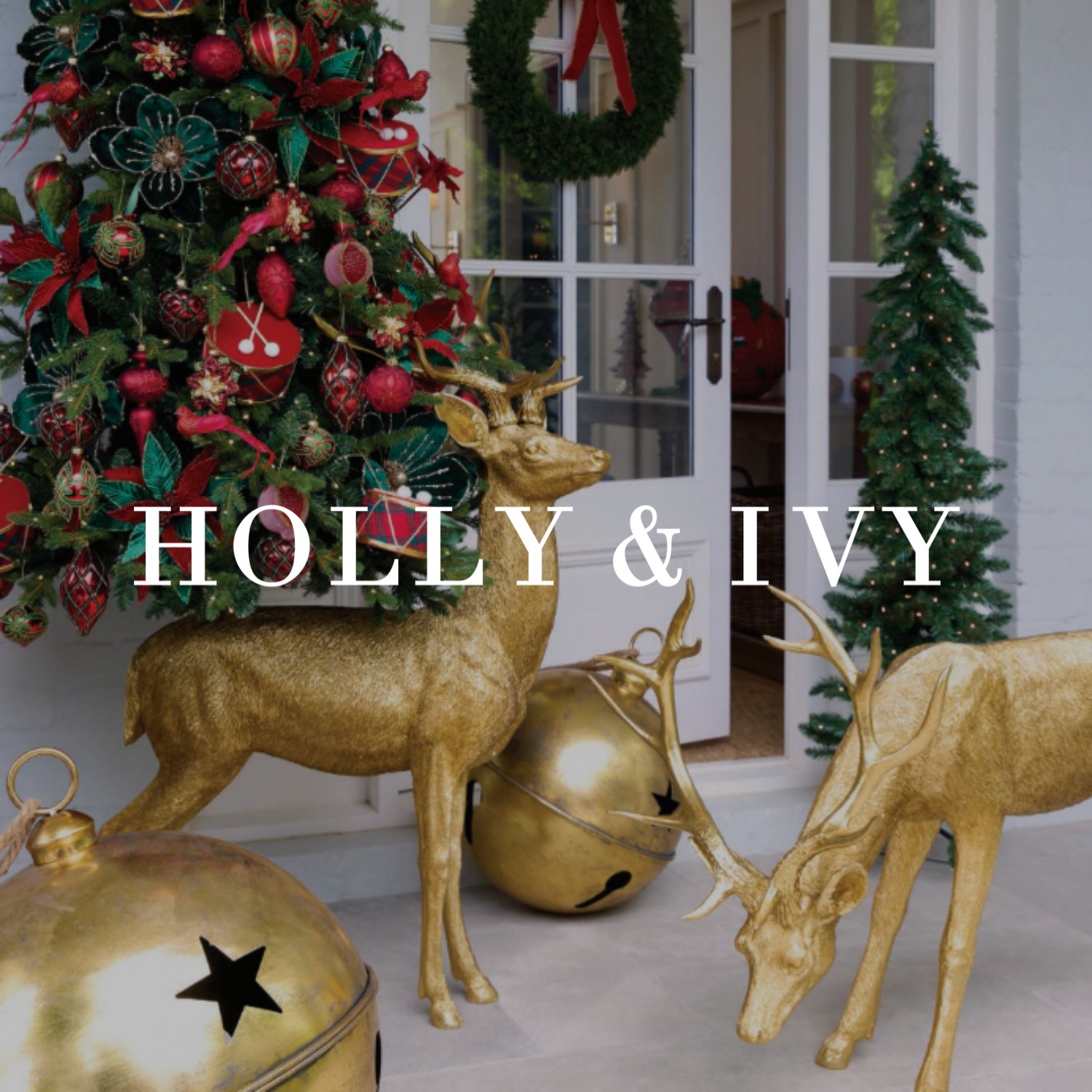 Holly & Ivy