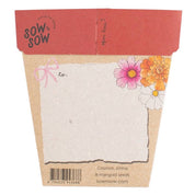 Christmas Blooms Gift of Seeds