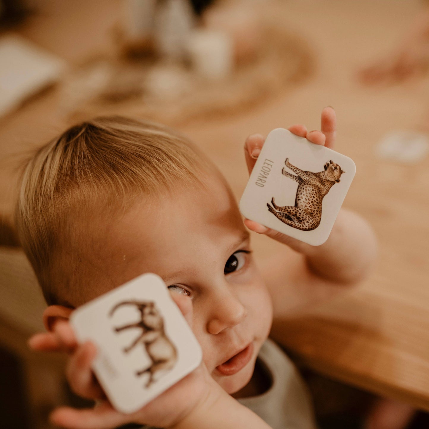 Africa Memory Card Game