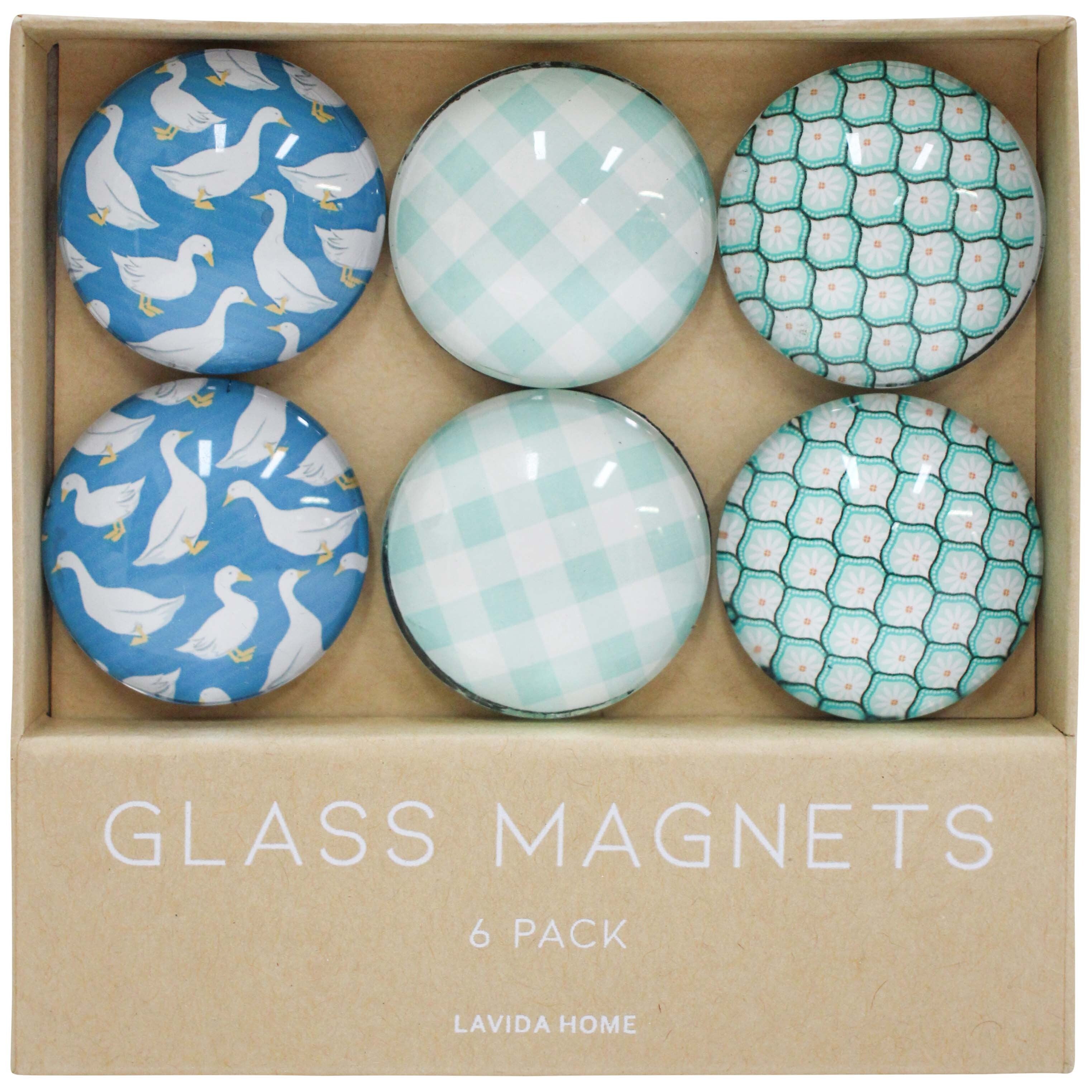 Glass Magnets Set Goose