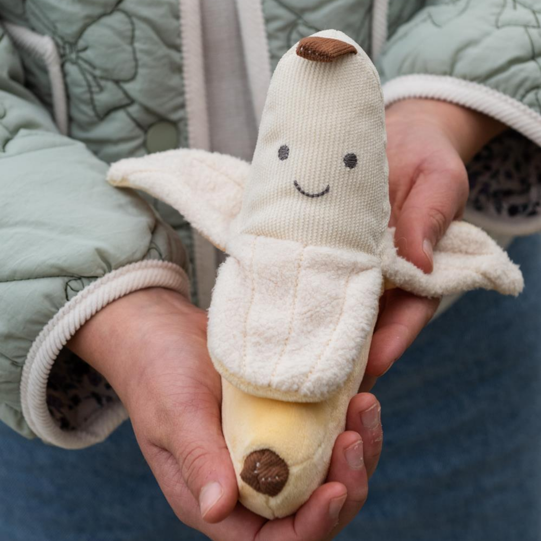 Bertie Banana The Silly Friend