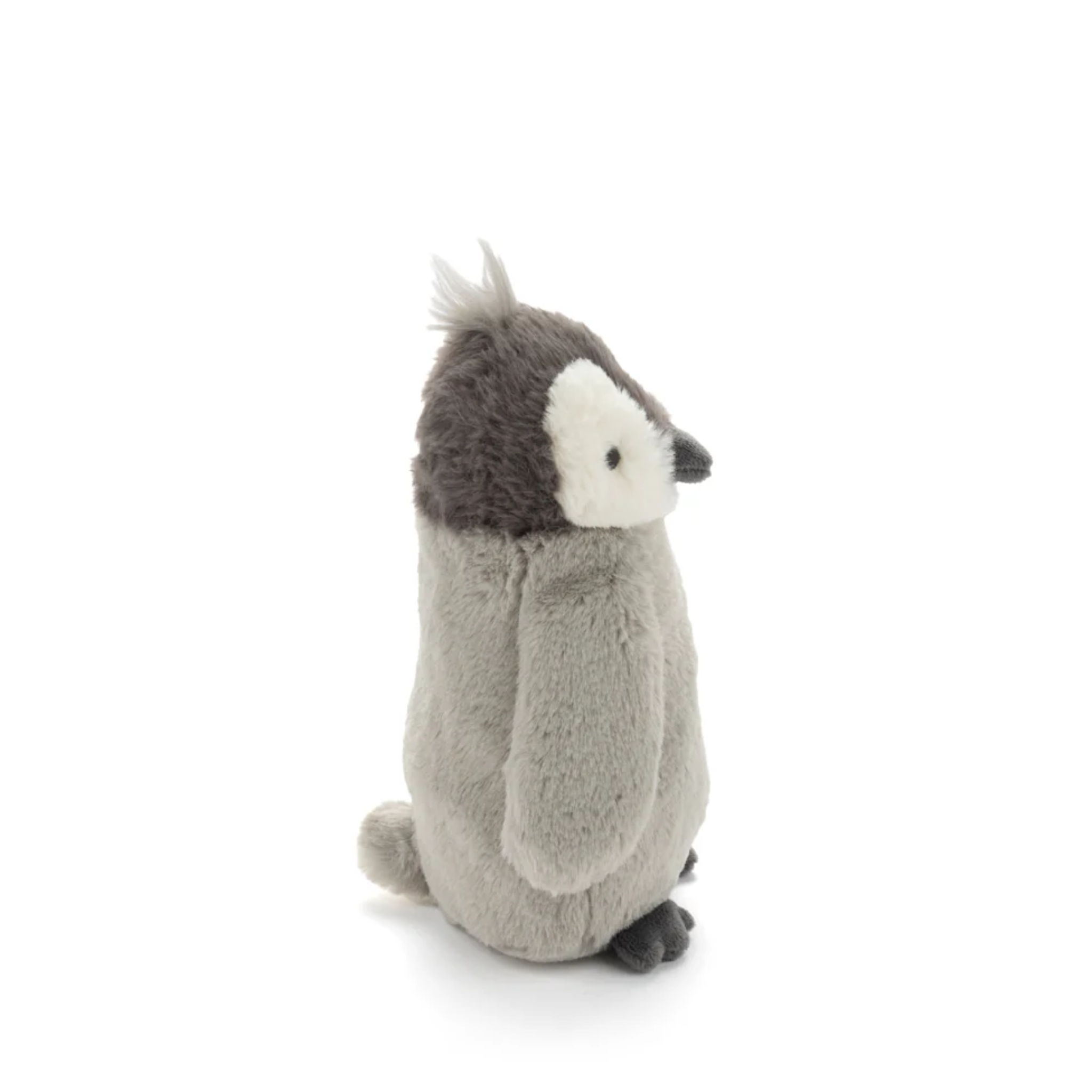 Paulo The Penguin