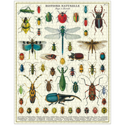 Bugs & Insets 1000PC Puzzle