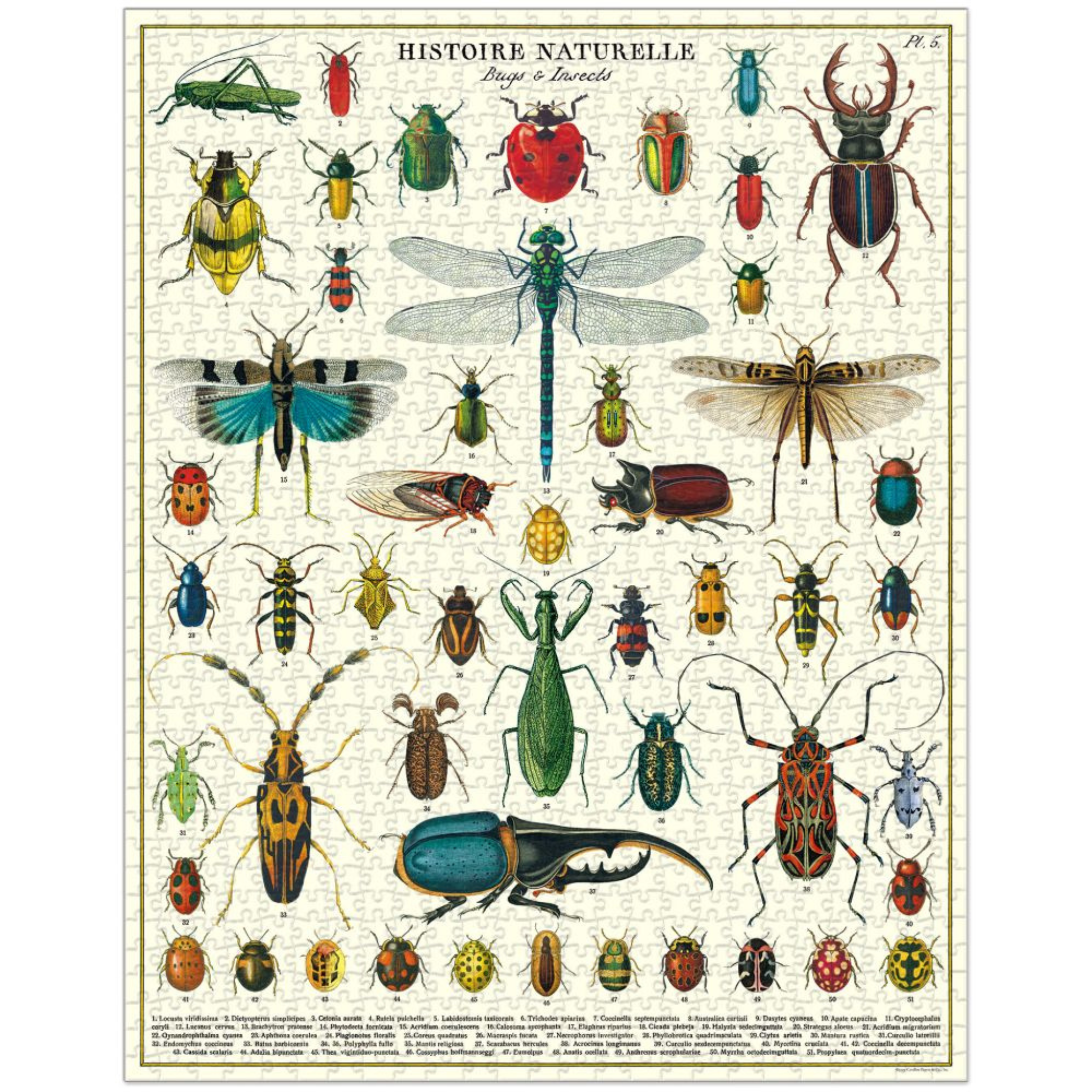 Bugs & Insets 1000PC Puzzle