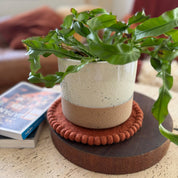 Felt Trivet Set Spiced Cocoa