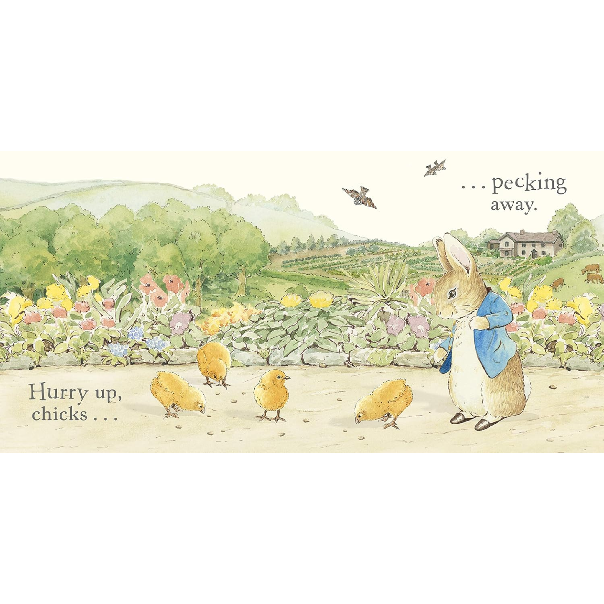 Peter Rabbit: Easter Surprise: A Picture Board Book