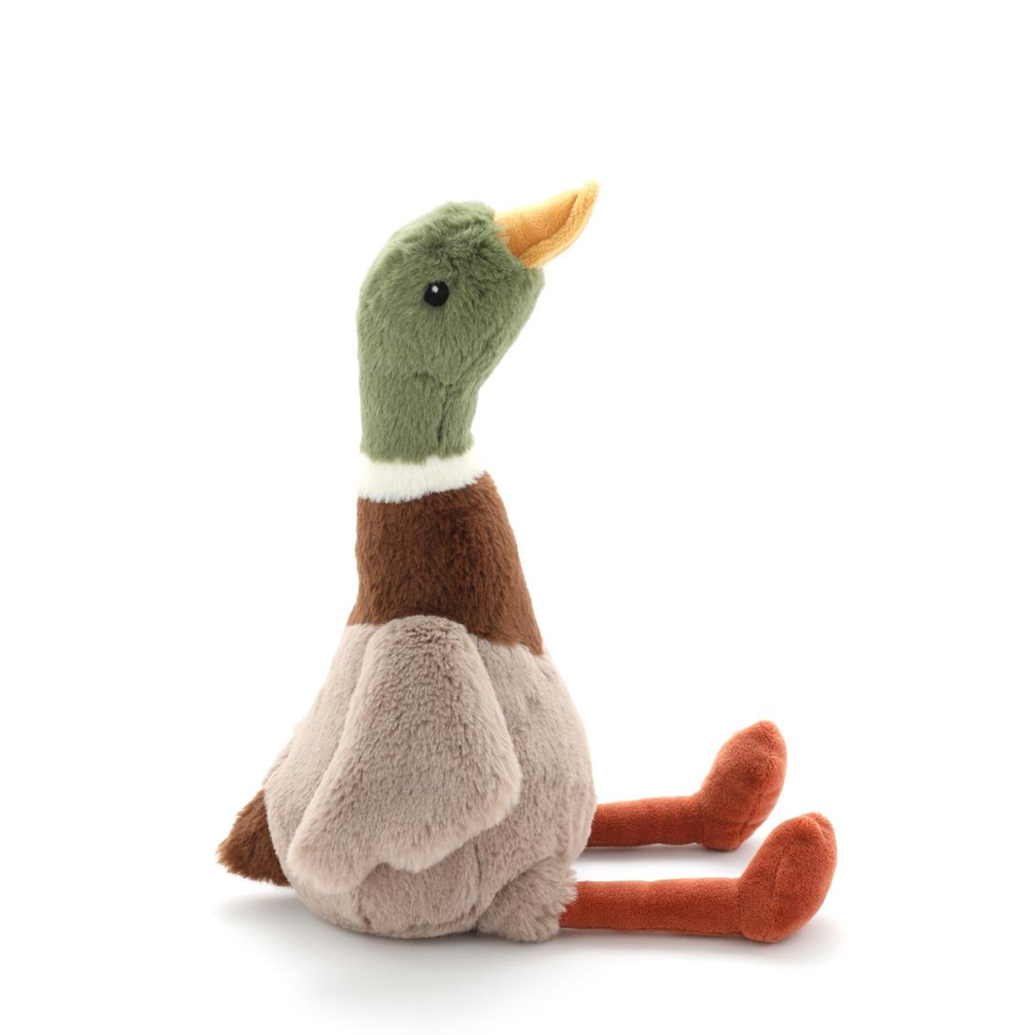 Hugo The Mallard Duck