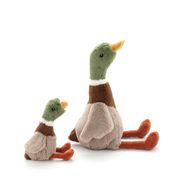 Hugo The Mallard Duck