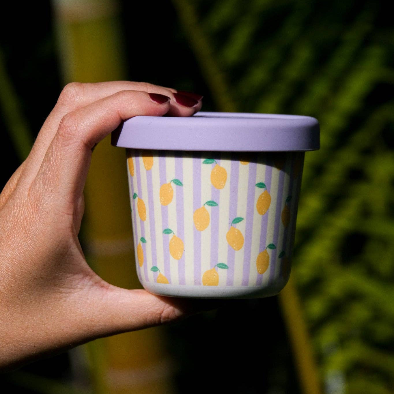 Zestie Bestie Snack Pot (220ml)