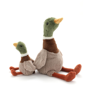 Hugo The Mallard Duck