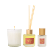 Kakadu Plum Little Luxuries Trio Collection