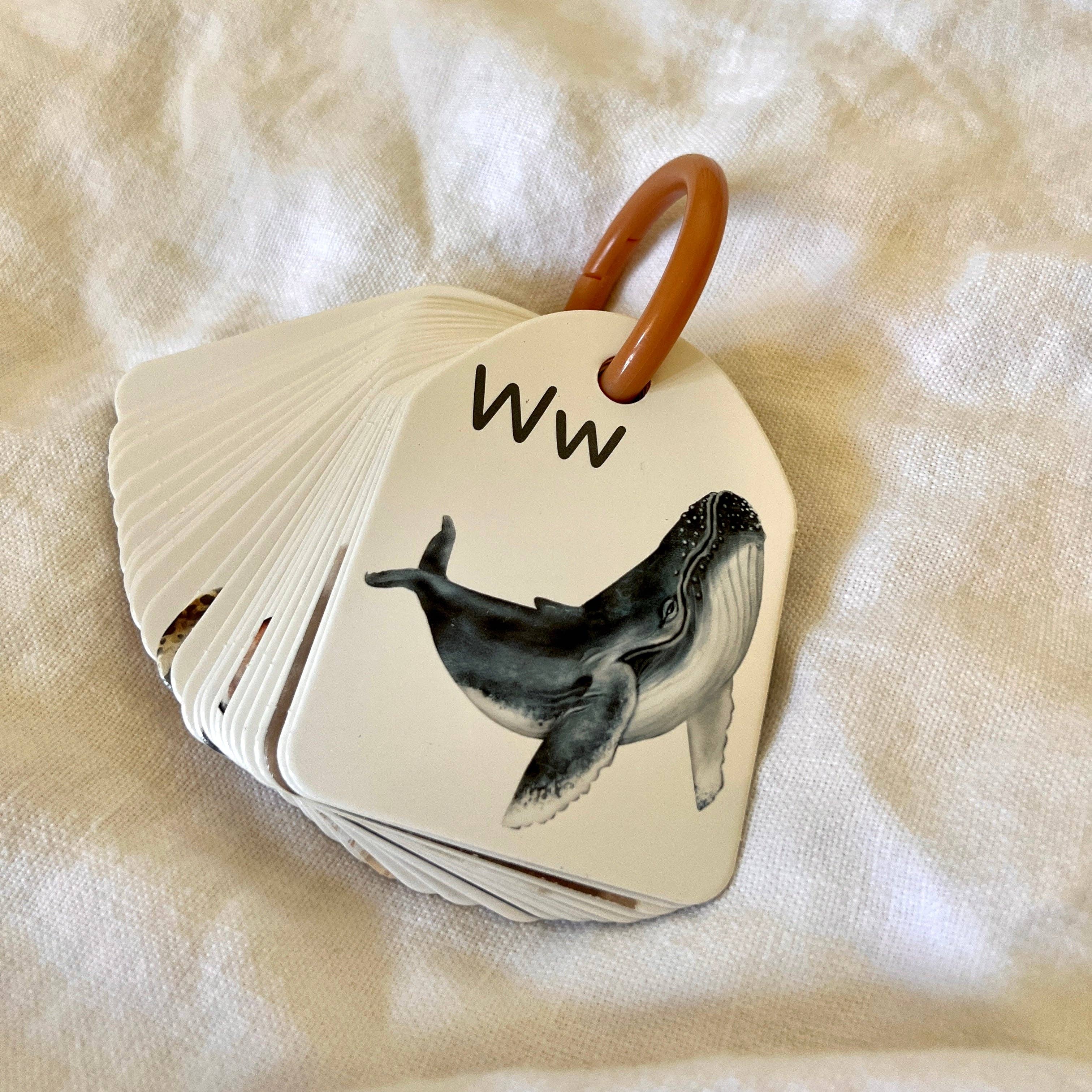 Animal Ringed Alphabet Flash Cards