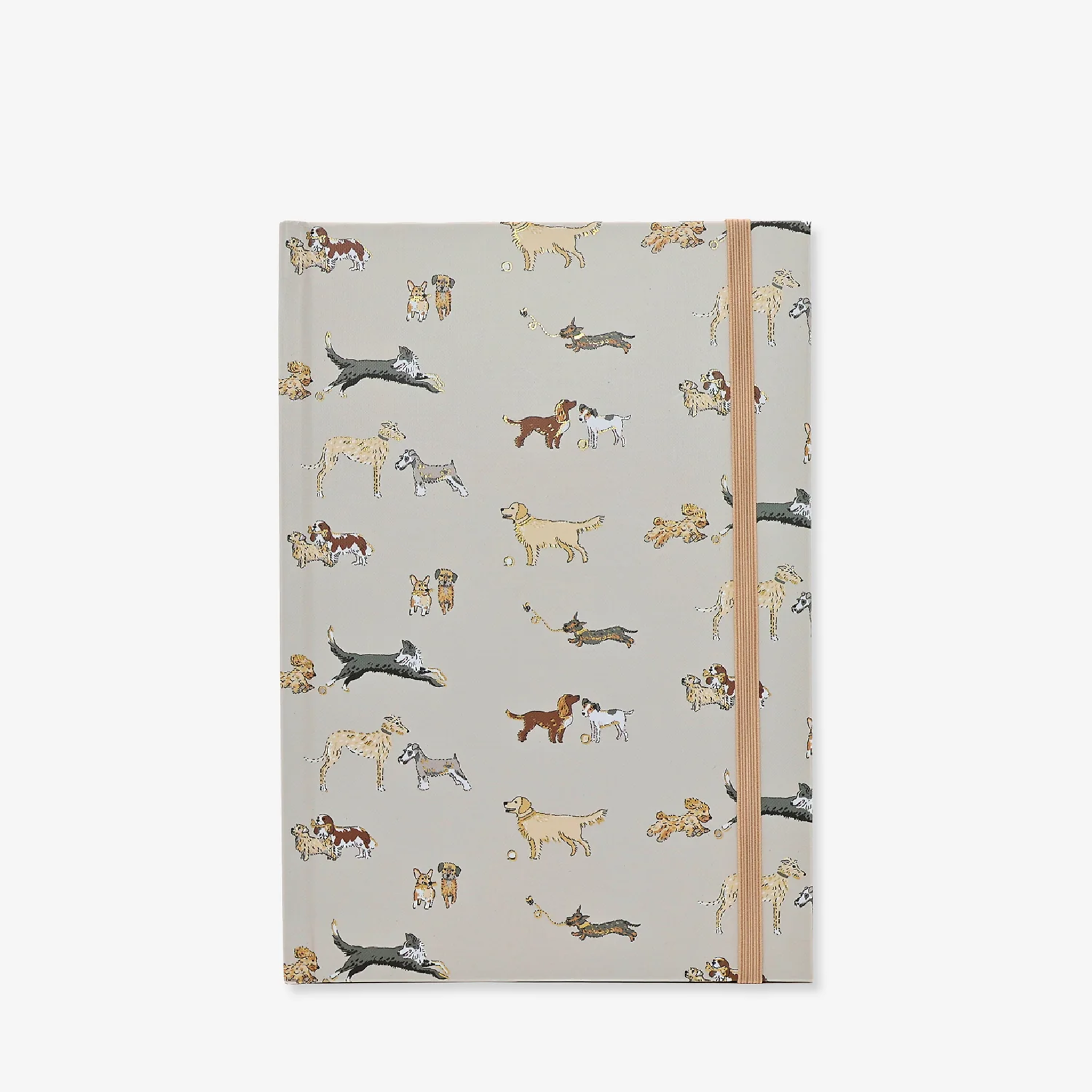 Doggy Daycare A5 Notebook