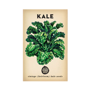 Kale 'Dwarf Blue' Heirloom Seeds