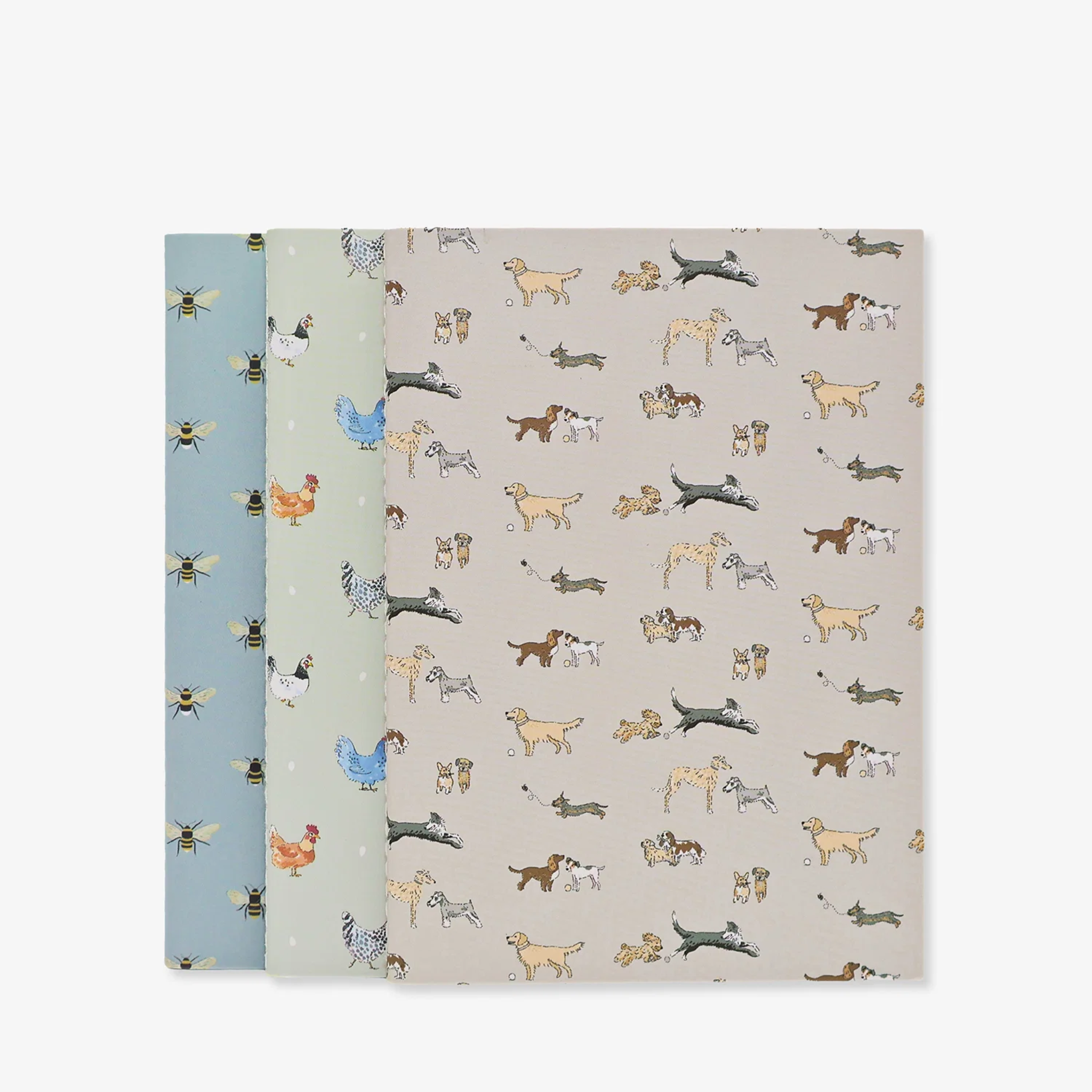 Signature A6 Notebooks (Set of 3) Lay a Little Egg, Doggy Daycare and Bees