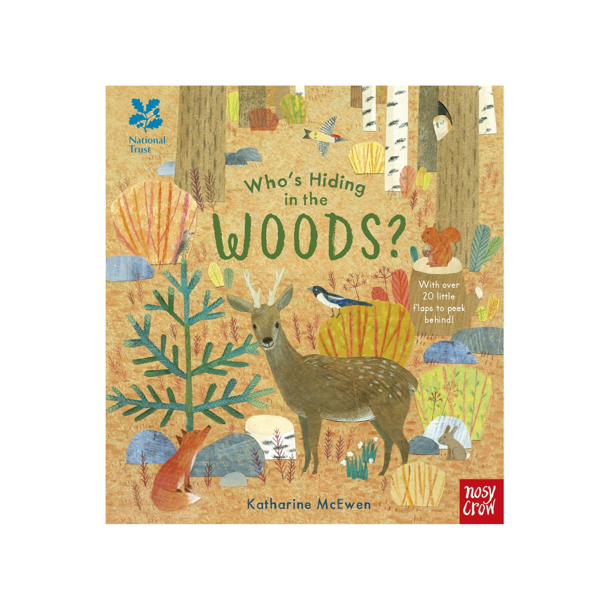 Who's Hiding In The Woods? (National Trust) Board Book