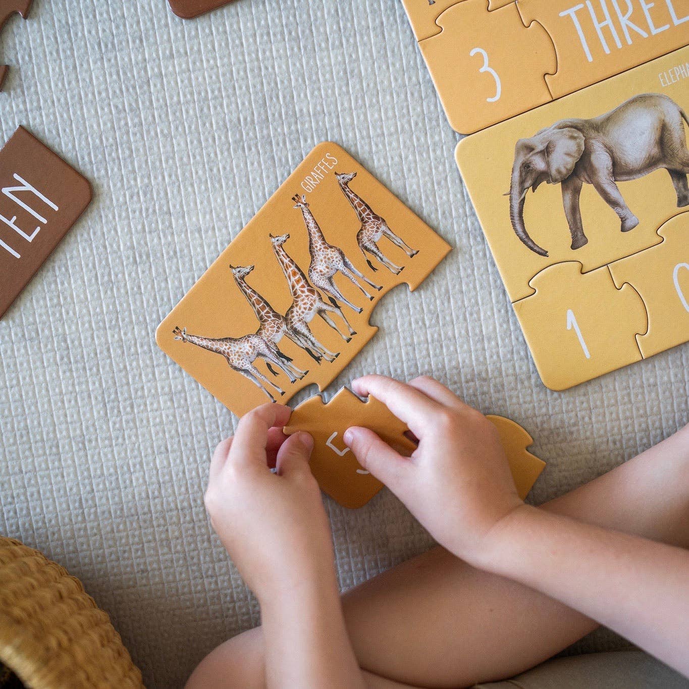 Africa Counting Puzzle