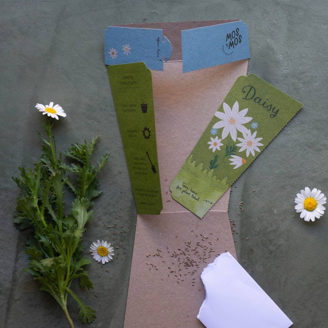 Daisy Gift of Seeds