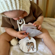 Animal Ringed Alphabet Flash Cards