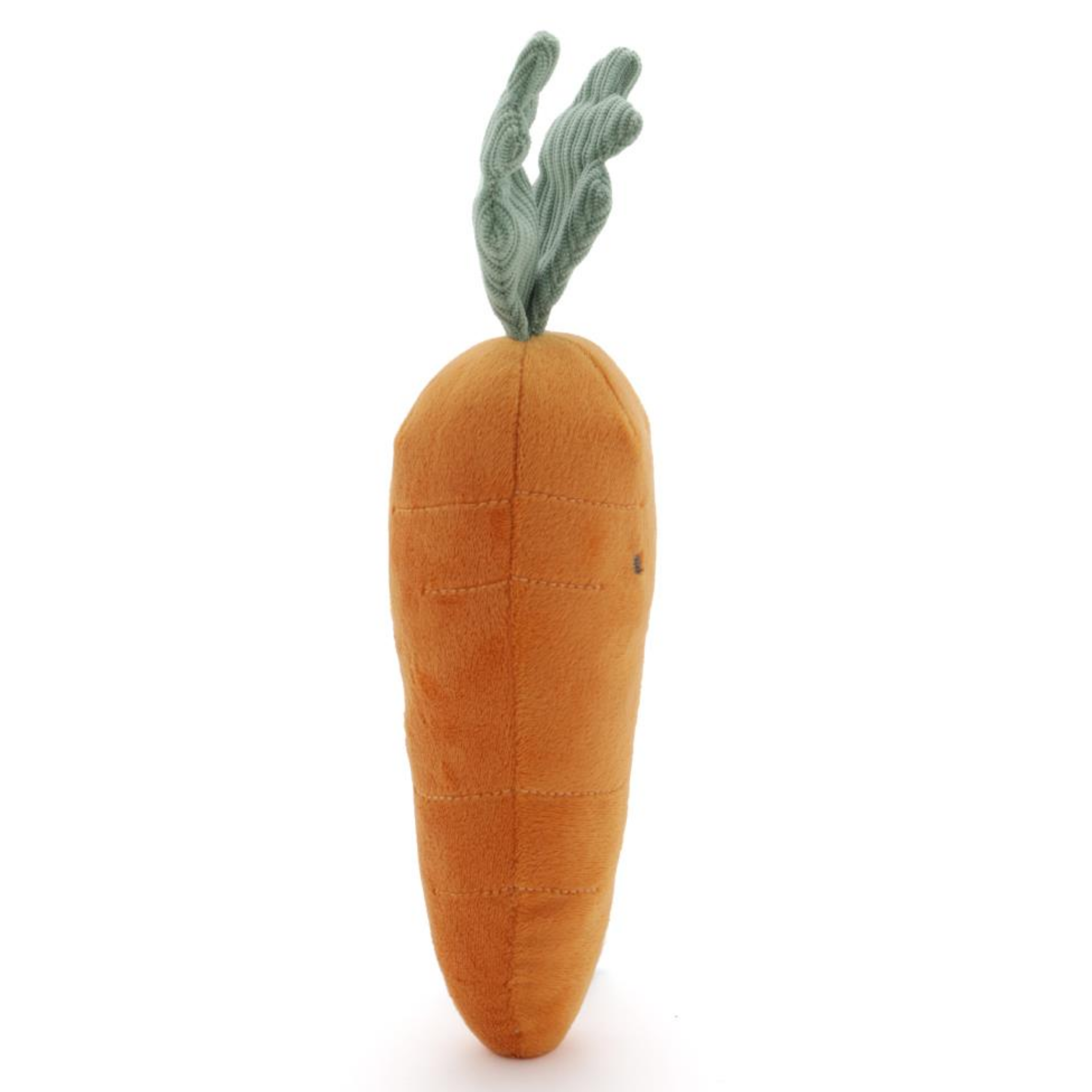 Curtis Carrot The Caring Friend